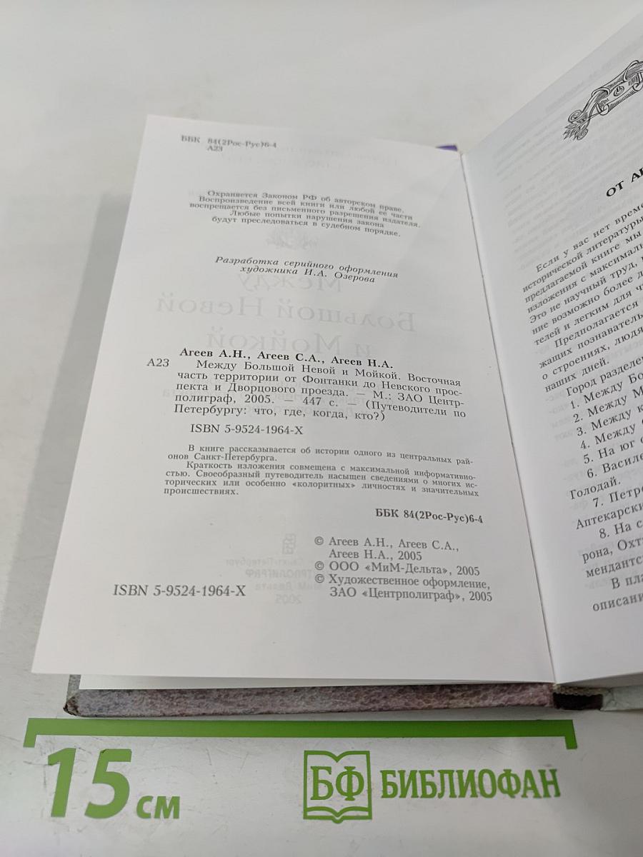 Путеводитель по Петербургу: Между Большой Невой и Мойкой
