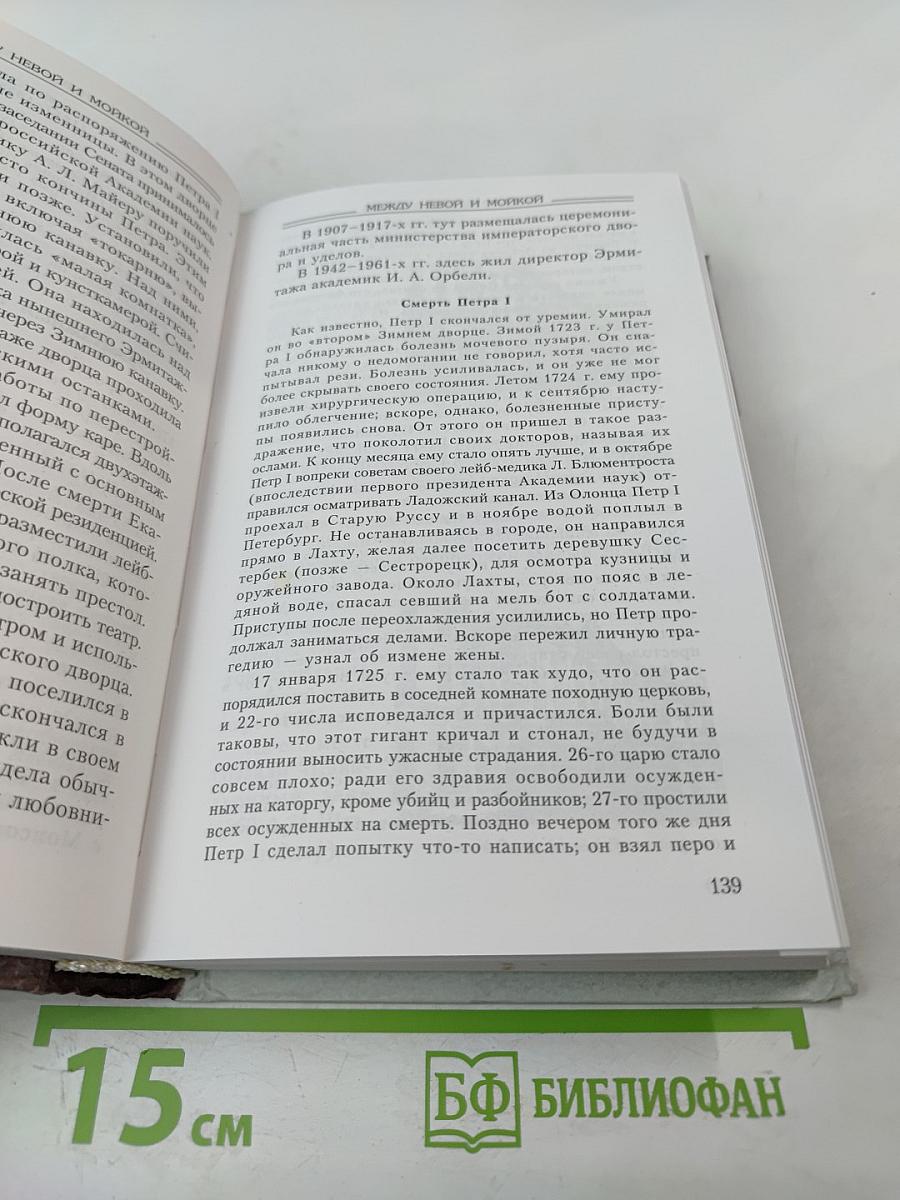 Путеводитель по Петербургу: Между Большой Невой и Мойкой
