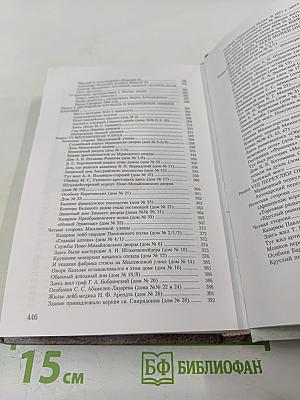 Путеводитель по Петербургу: Между Большой Невой и Мойкой