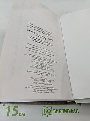 Путеводитель по Петербургу: Между Большой Невой и Мойкой
