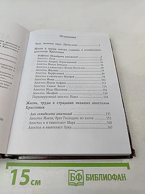 Апостолы Христовы. Жизнь и подвиги благовестников Господних