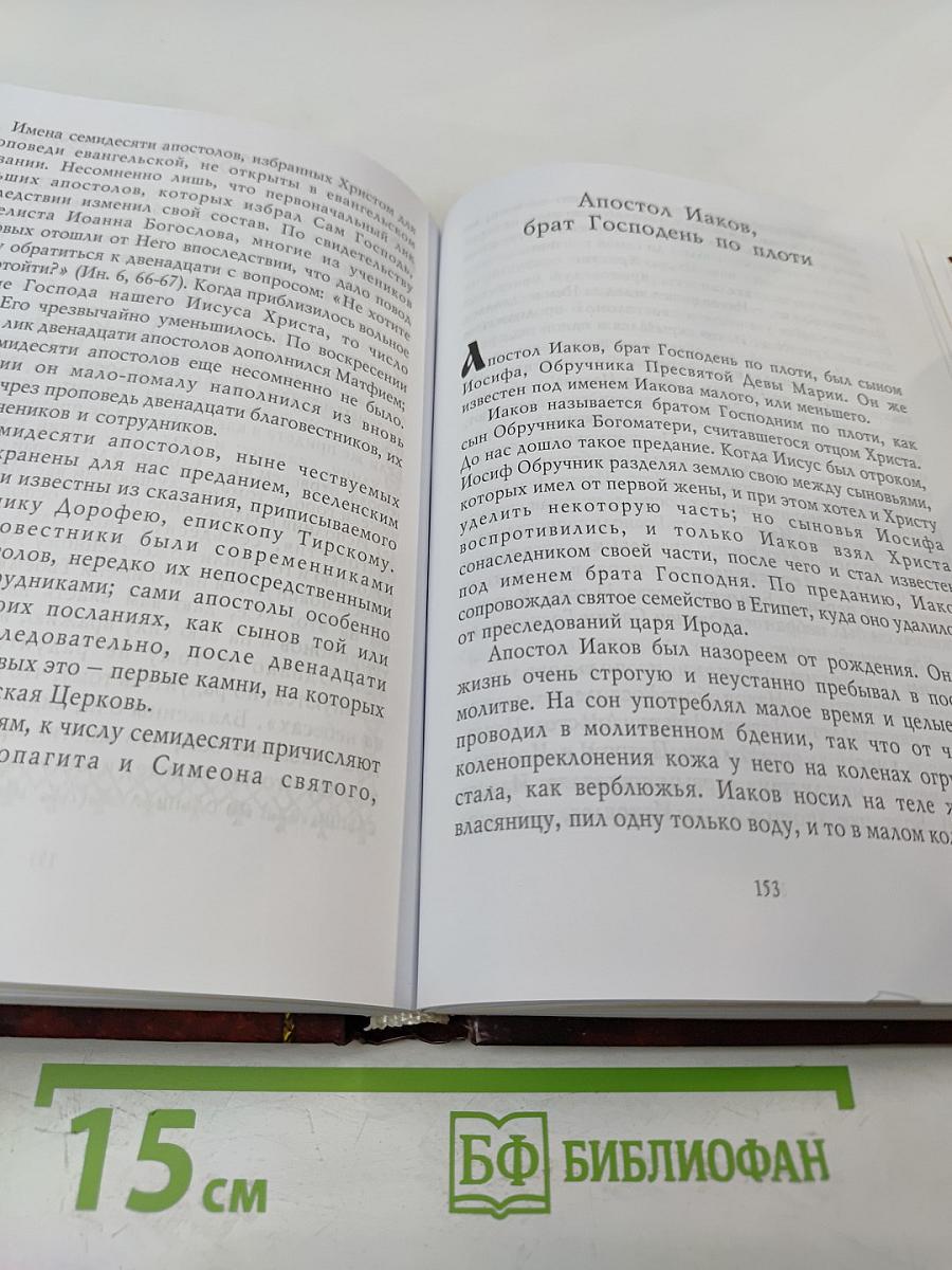 Апостолы Христовы. Жизнь и подвиги благовестников Господних
