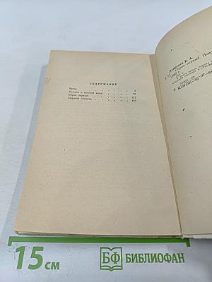 Сорок первый