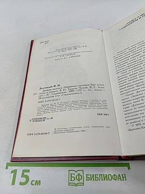 Дневник писателя. Избранные страницы