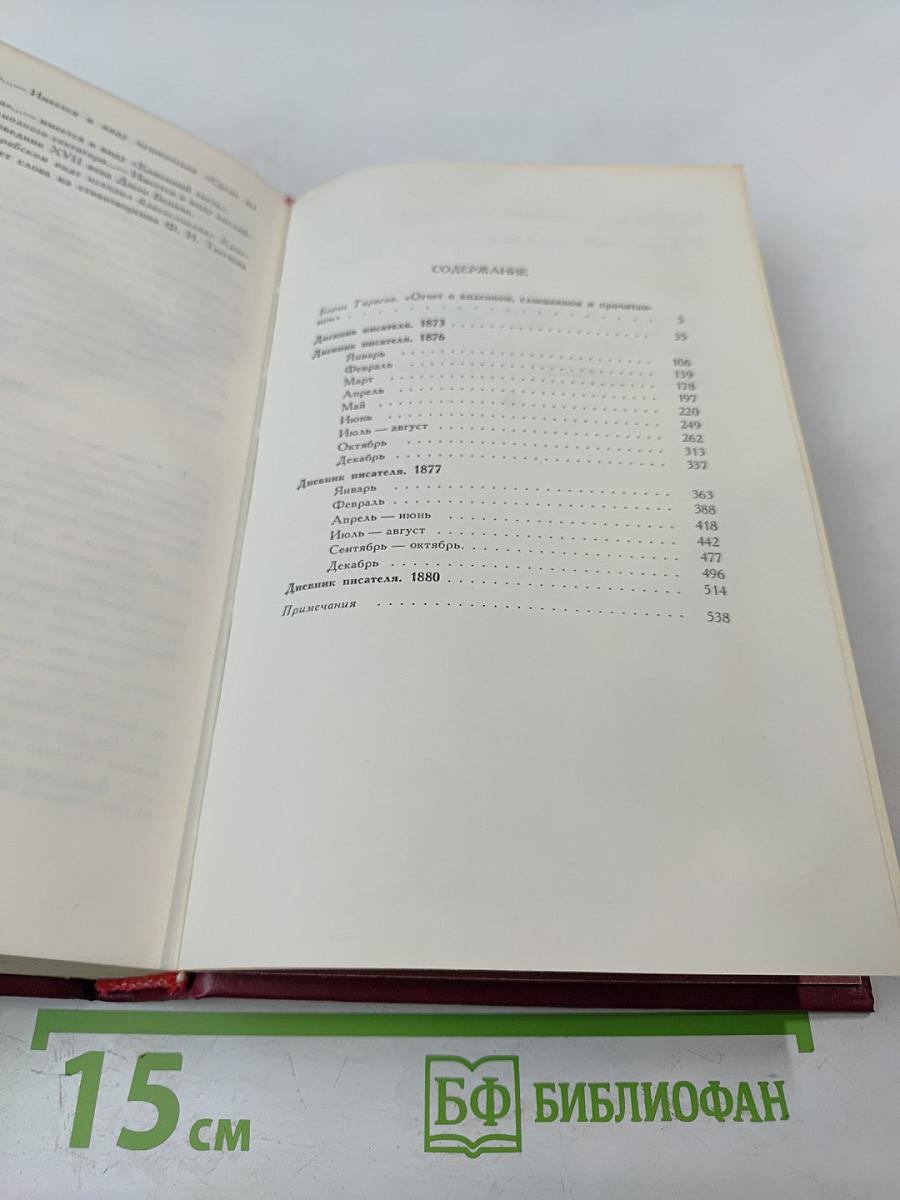 Дневник писателя. Избранные страницы