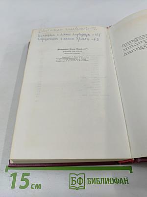 Дневник писателя. Избранные страницы