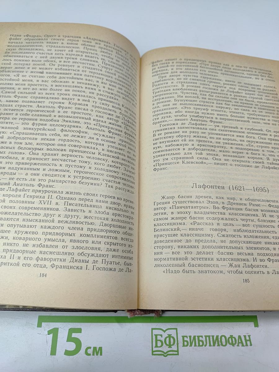 История зарубежной литературы XVII-XVIII веков