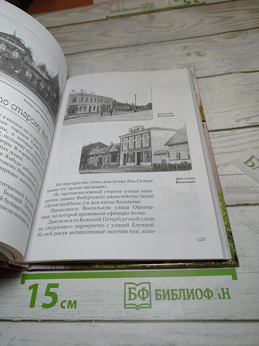 Краеведение Кингисеппский район. Книга для чтения в начальных классах
