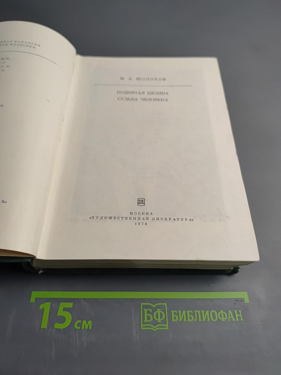 Поднятая целина. Судьба человека