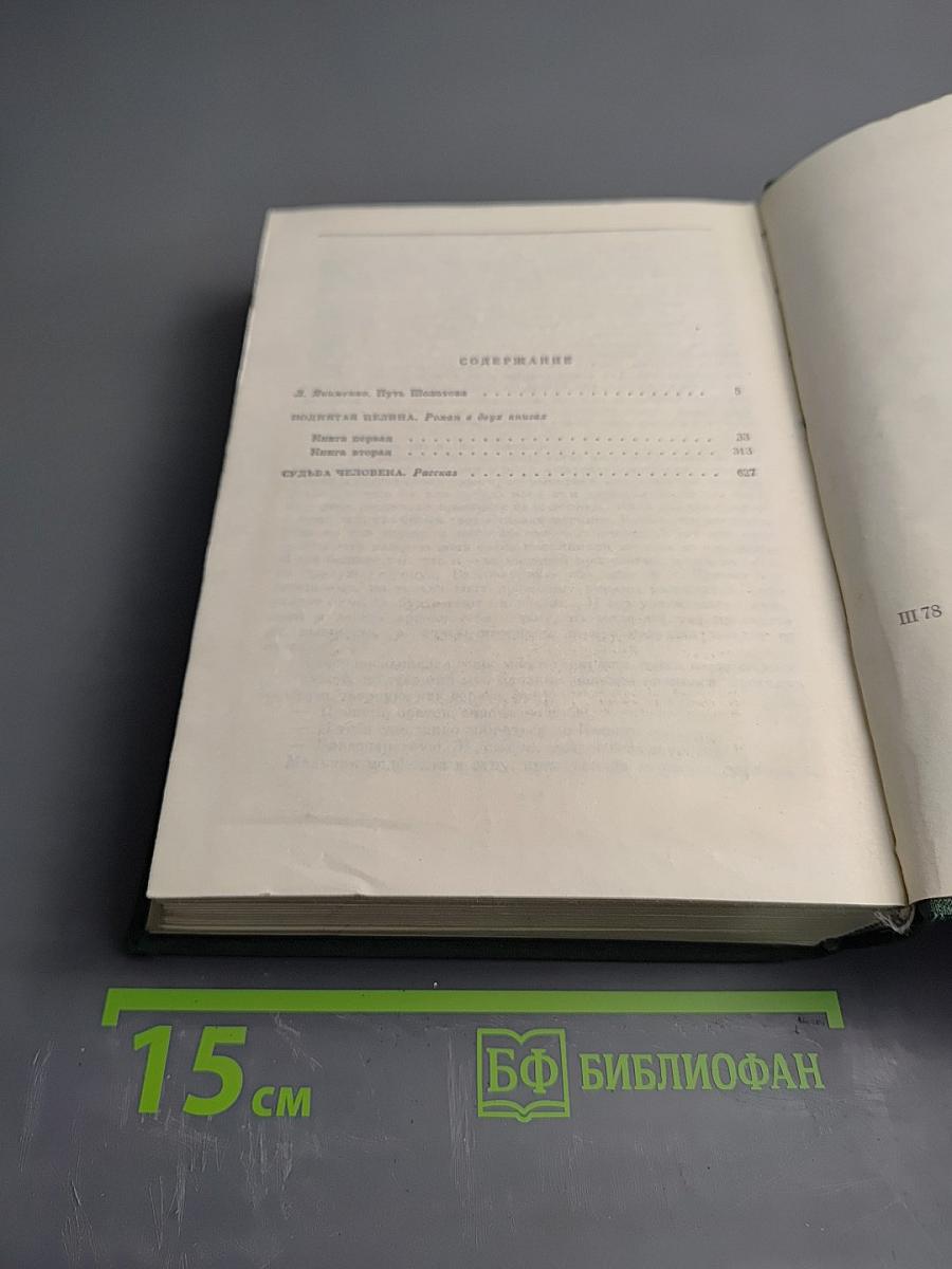 Поднятая целина. Судьба человека