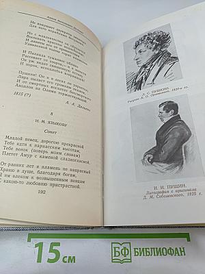 Друзья Пушкина. Переписка. Воспоминания. Дневники. В двух томах. Том 1