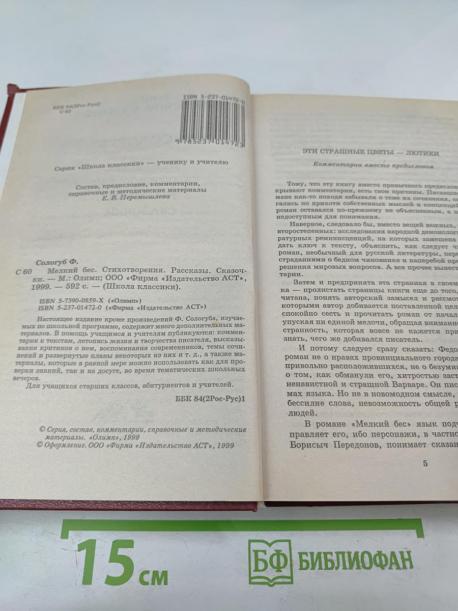 Мелкий бес. Стихотворения. Рассказы. Сказочки. Критика и комментарии. Материалы для подготовки к уроку