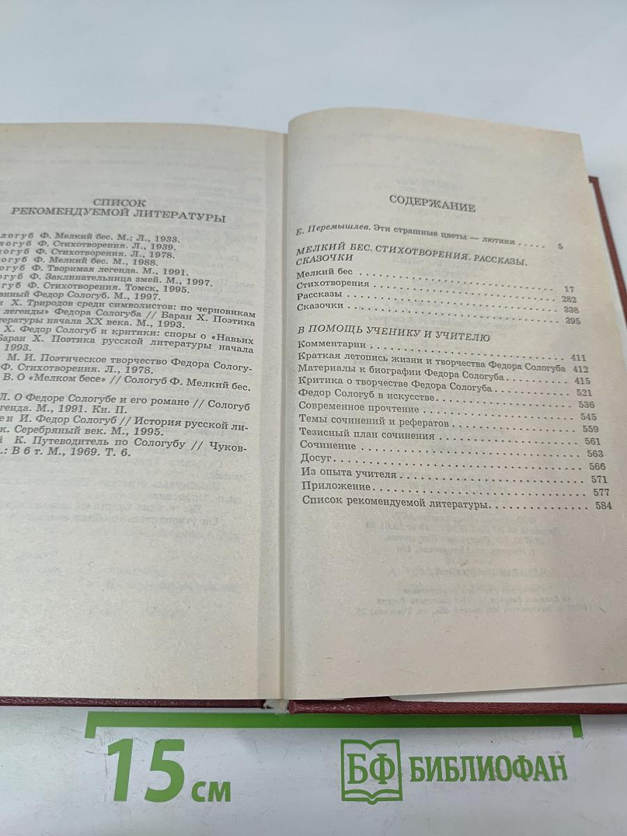 Мелкий бес. Стихотворения. Рассказы. Сказочки. Критика и комментарии. Материалы для подготовки к уроку