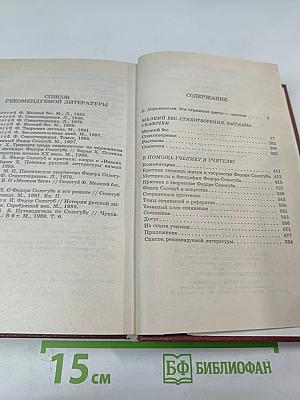 Мелкий бес. Стихотворения. Рассказы. Сказочки. Критика и комментарии. Материалы для подготовки к уроку