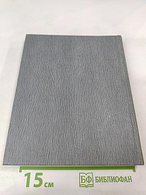 Петербург - Ленинград глазами художников