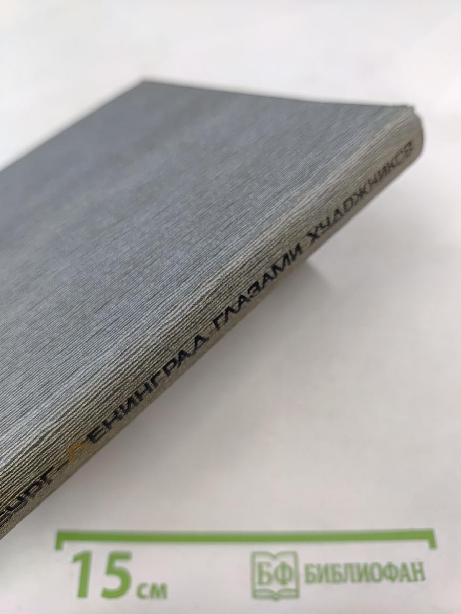 Петербург - Ленинград глазами художников