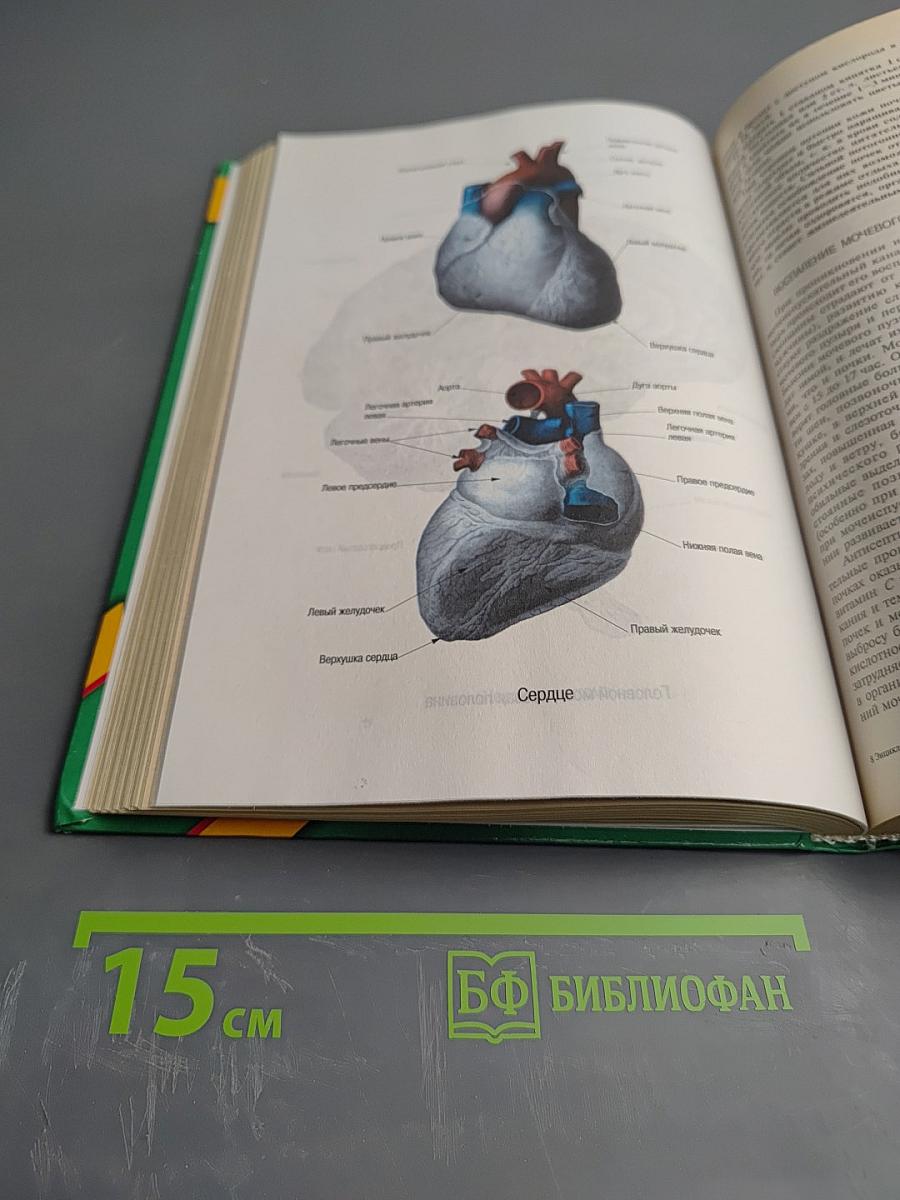 Энциклопедия народной медицины