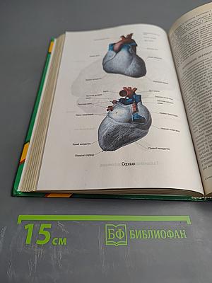 Энциклопедия народной медицины