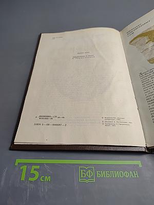 Рядом с Жюлем Верном