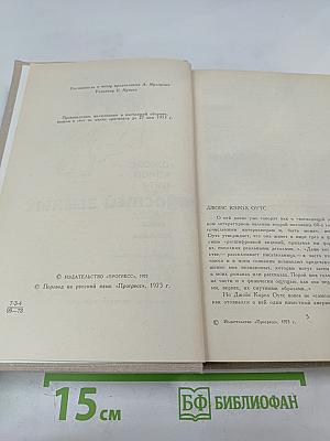 Сад радостей земных