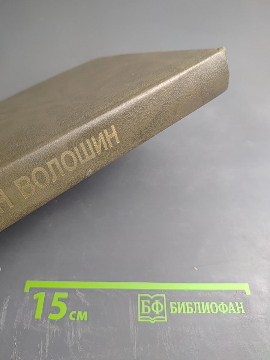 Максимилиан Волошин. Автобиографическая проза, дневники