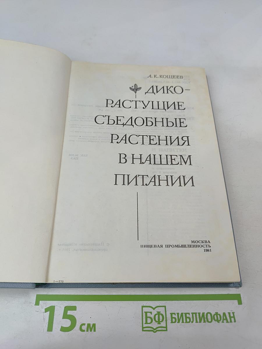 Дикорастущие съедобные растения в нашем питании