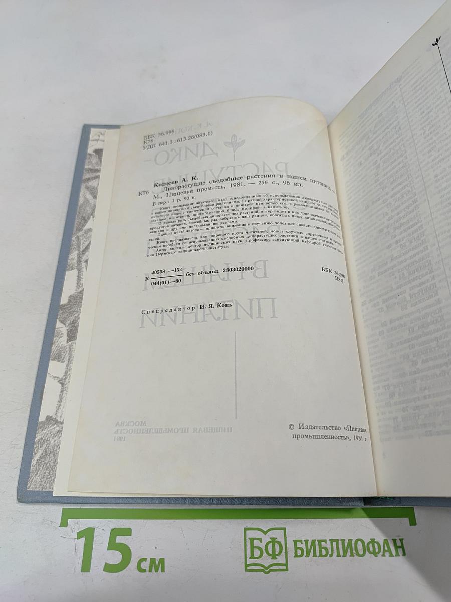 Дикорастущие съедобные растения в нашем питании