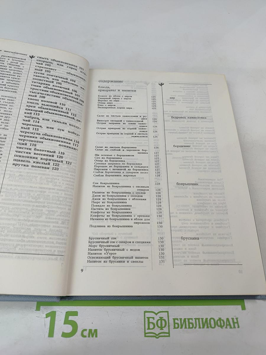 Дикорастущие съедобные растения в нашем питании