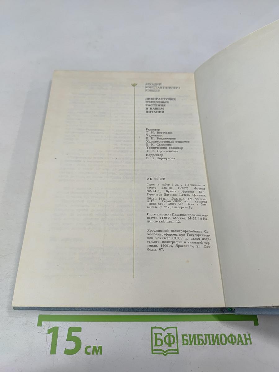 Дикорастущие съедобные растения в нашем питании