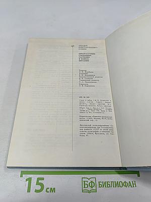 Дикорастущие съедобные растения в нашем питании