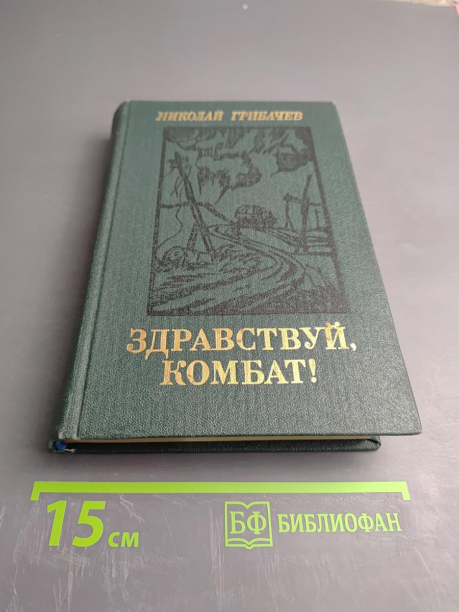 Здравствуй, комбат!