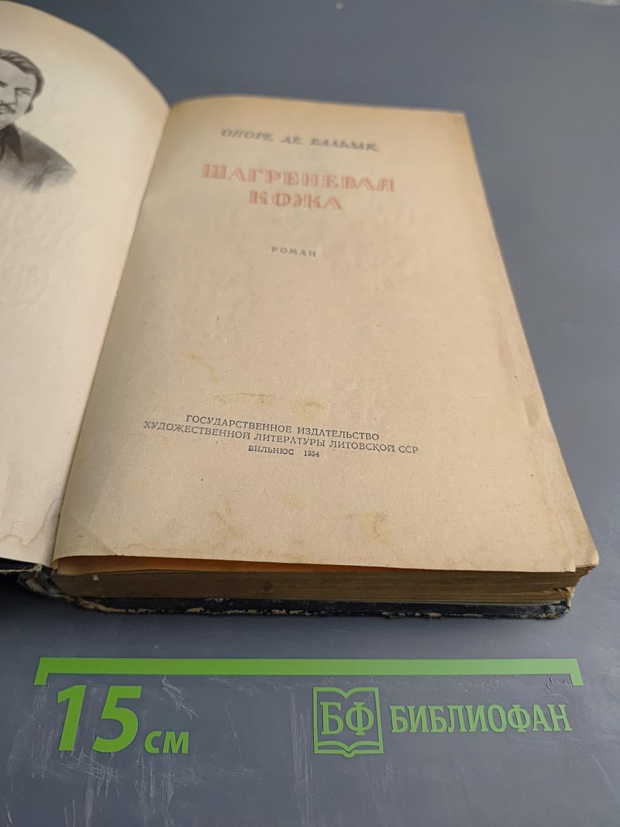 Шагреневая кожа