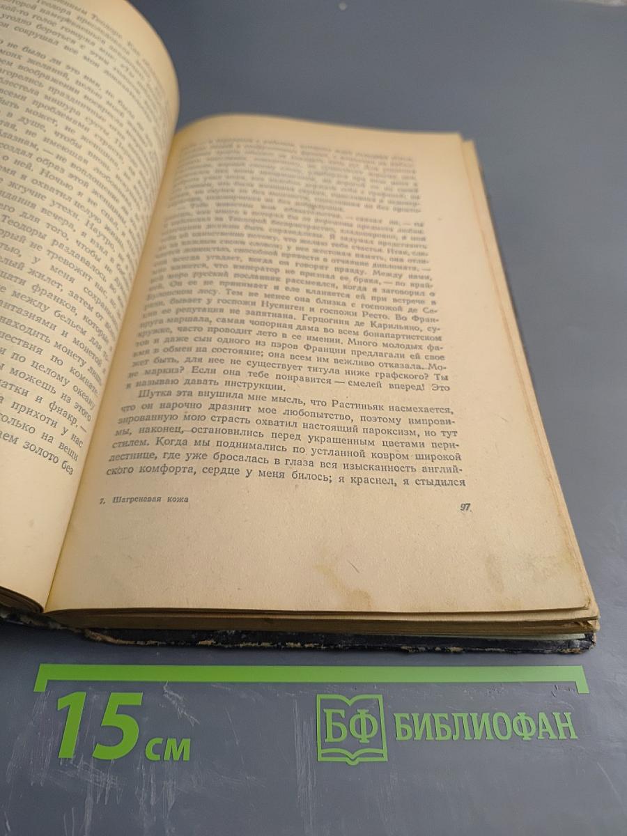 Шагреневая кожа