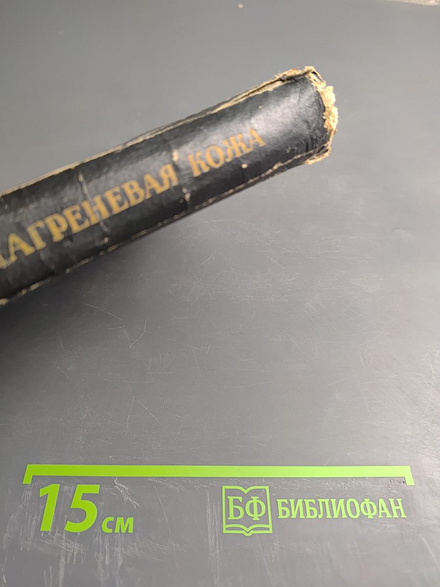 Шагреневая кожа