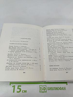 Возвращение домой