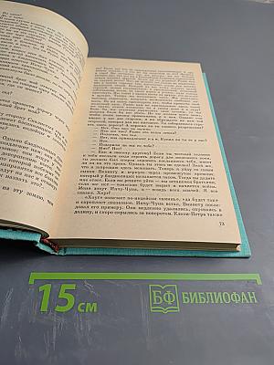 Виннету на Диком Западе