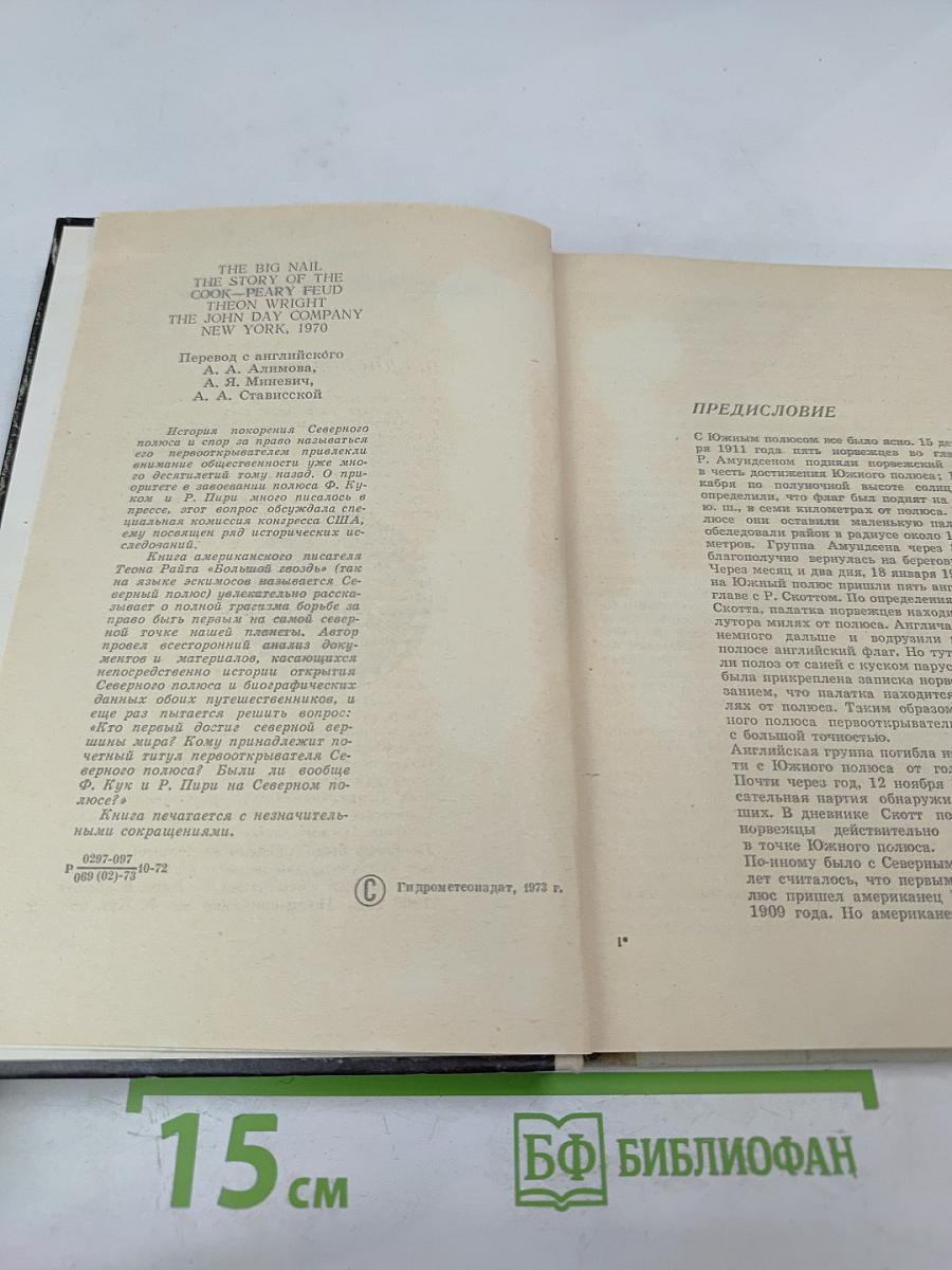 Большой гвоздь