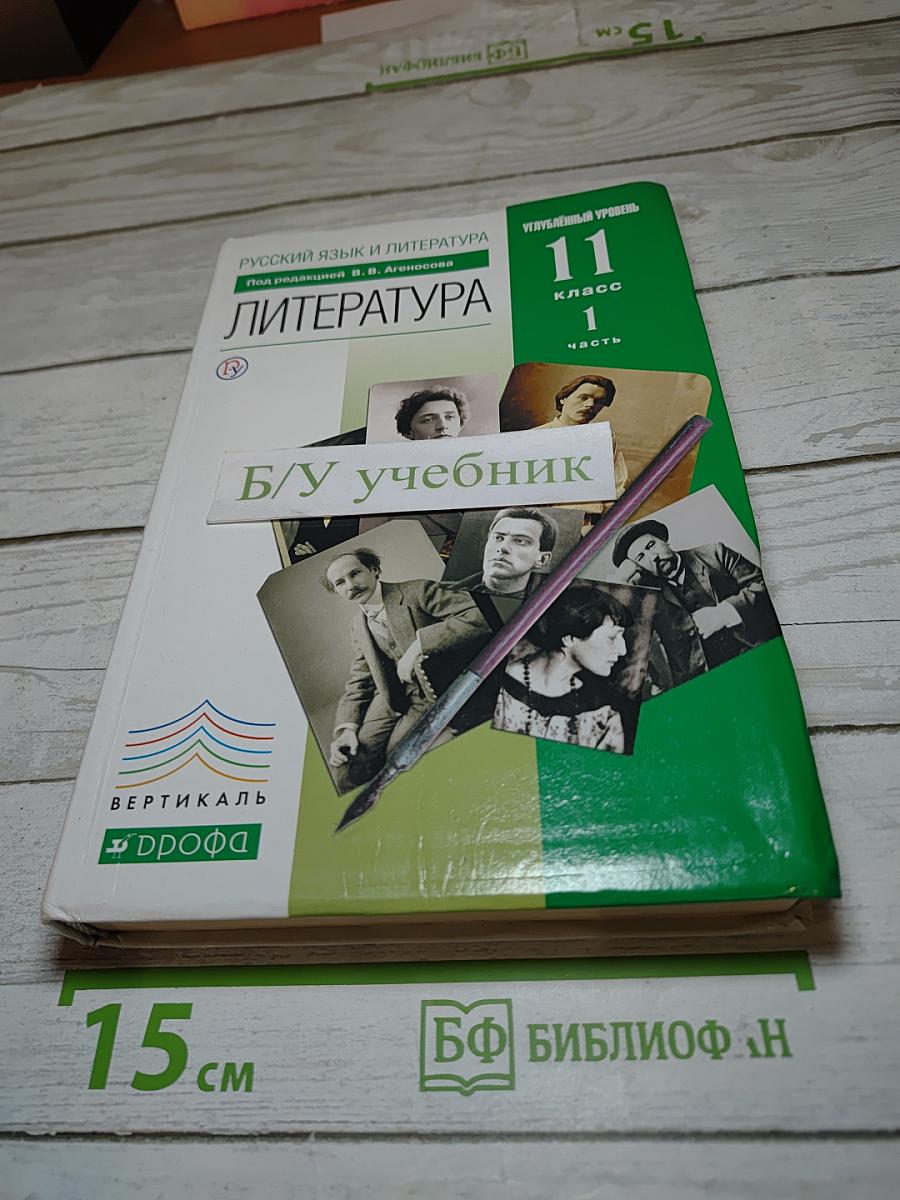 Русский язык и литература. Литература. Углубленный уровень. 11 класс. Часть 1