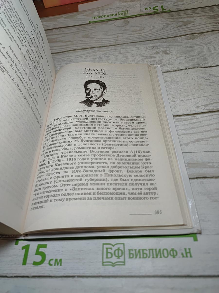 Русский язык и литература. Литература. Углубленный уровень. 11 класс. Часть 1