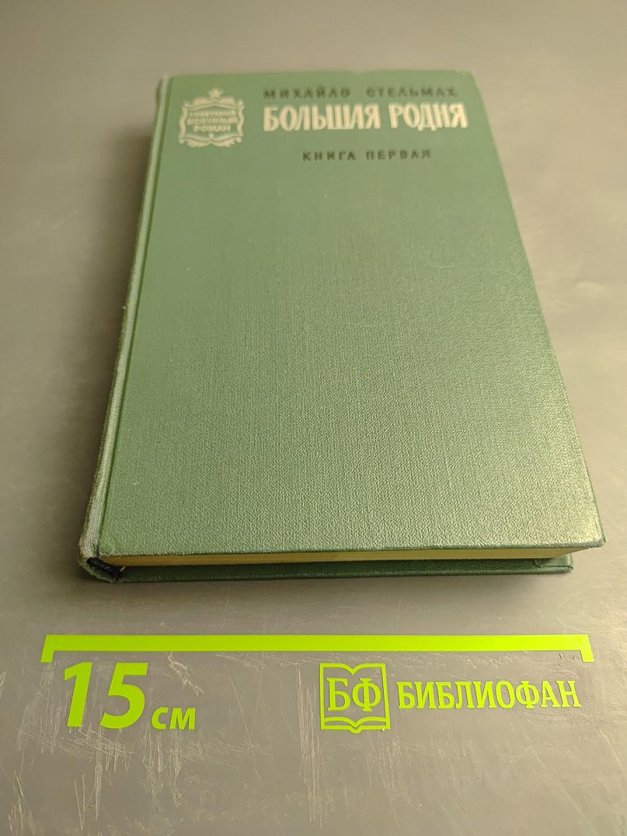 Большая родня. Книга первая