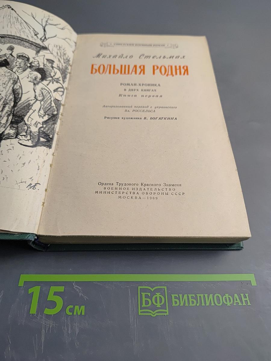 Большая родня. Книга первая