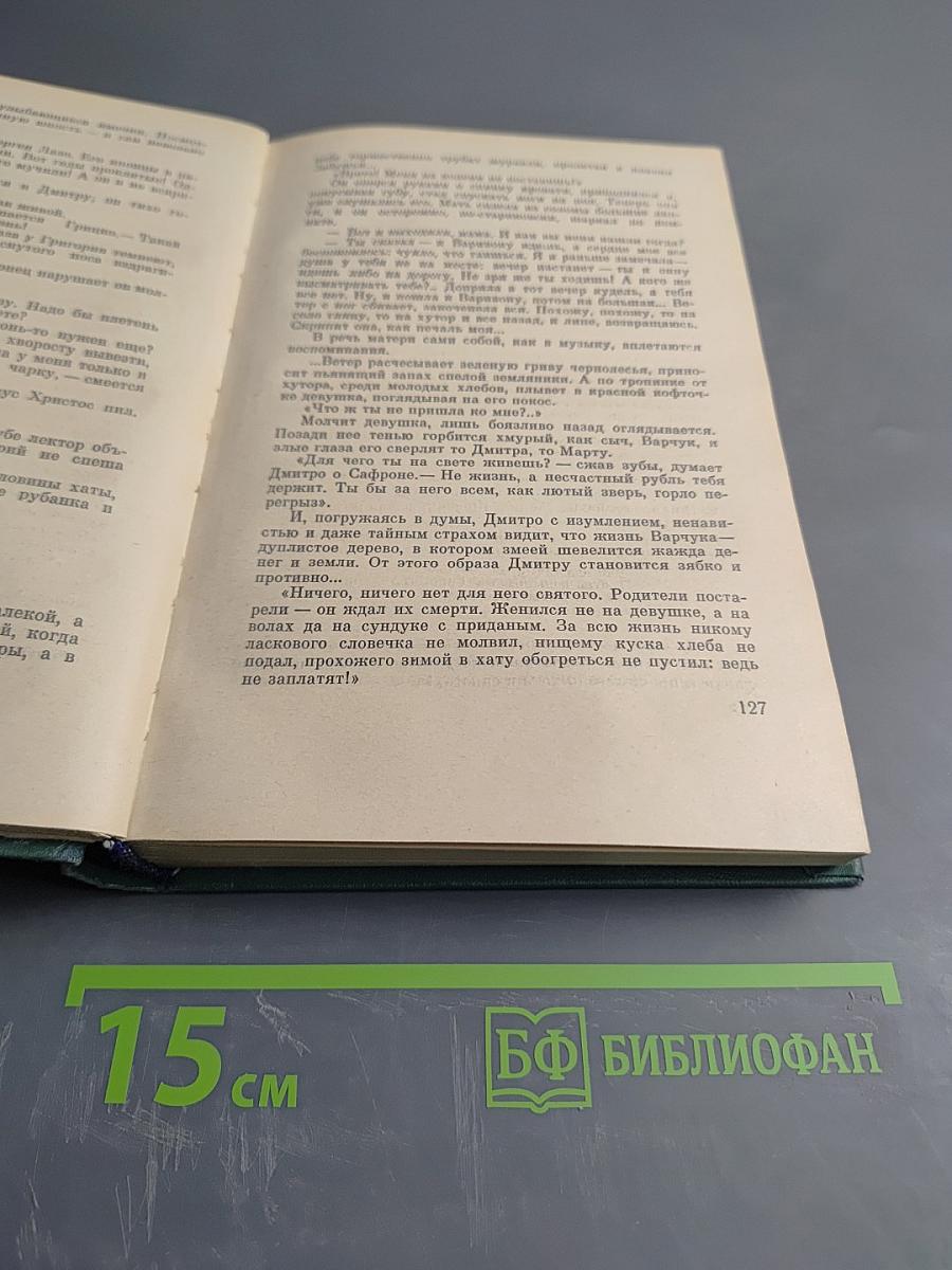 Большая родня. Книга первая