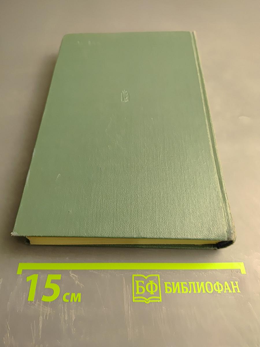 Большая родня. Книга первая