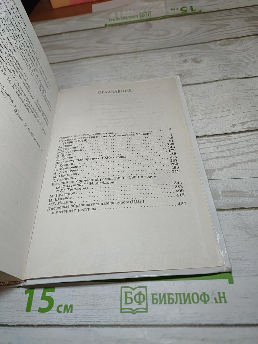 Русский язык и литература. Литература. Углубленный уровень. 11 класс. Часть 1