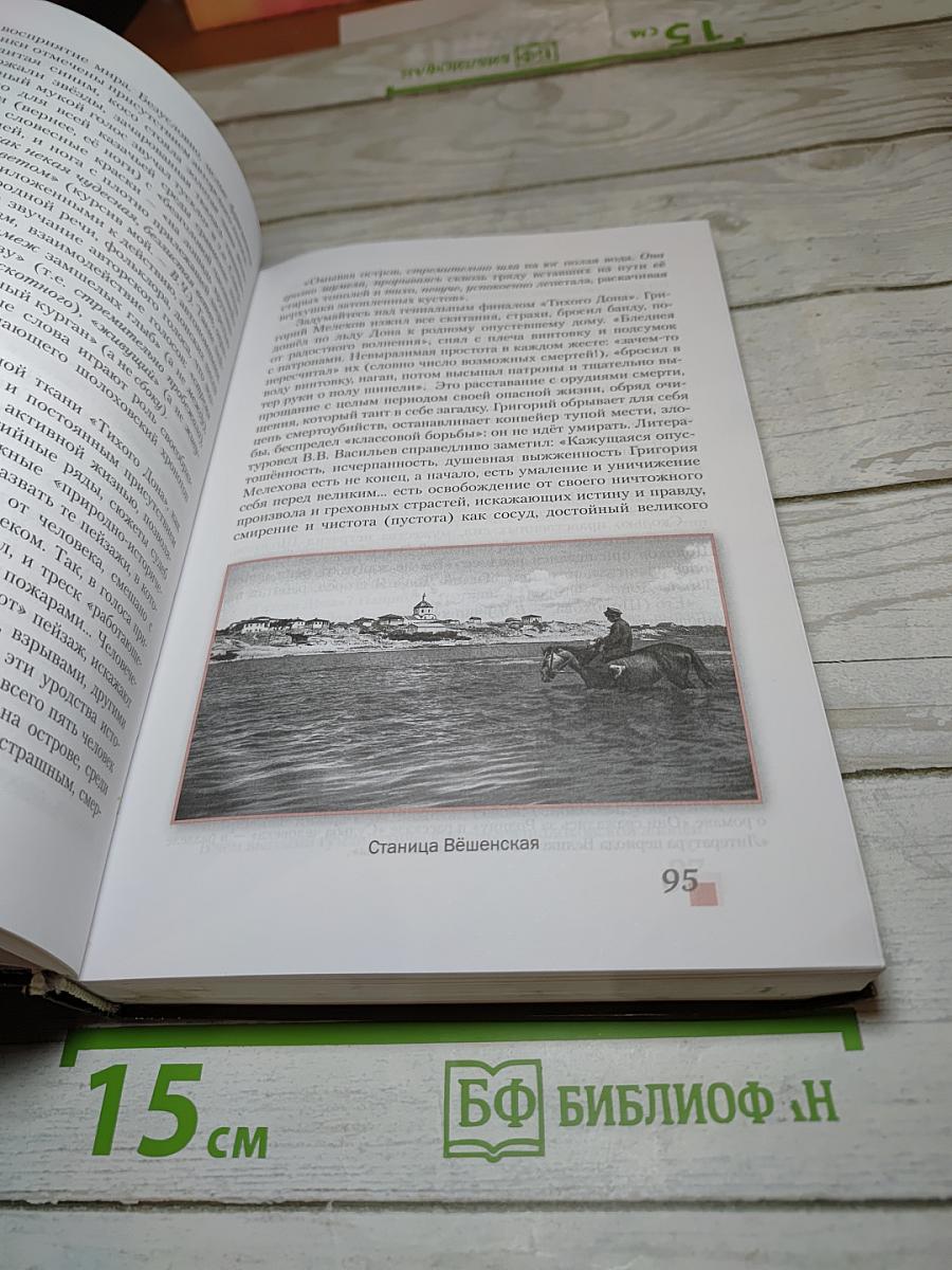 Литература 11 класс, Часть II