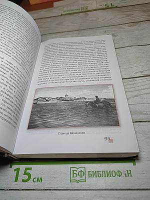 Литература 11 класс, Часть II