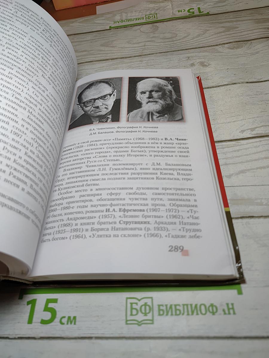 Литература 11 класс, Часть II