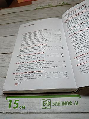 Литература 11 класс, Часть II