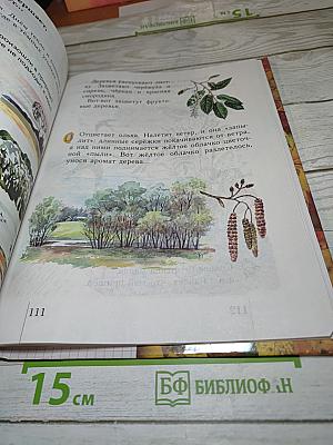 Окружающий мир. Учебник для 1 класса. Второе полугодие