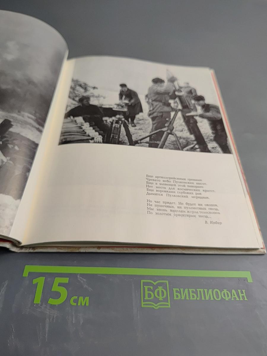 Зеленый пояс славы